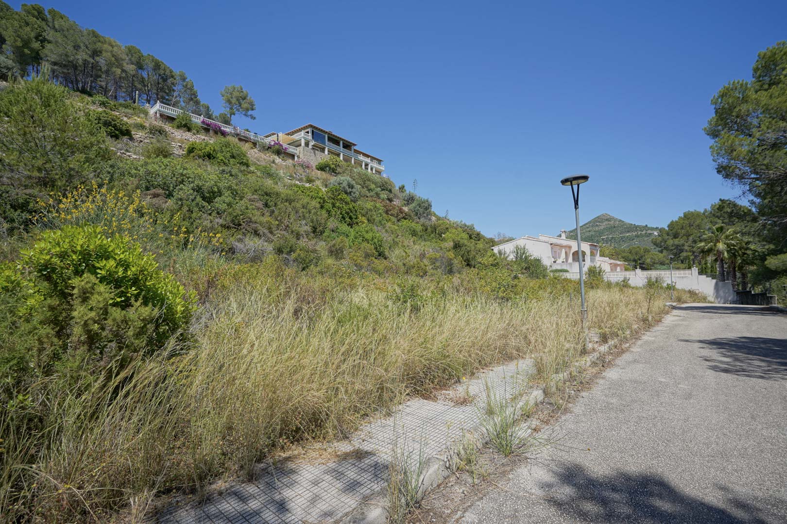 Blick auf ein erhöhtes Baugrundstück in Alcalalí mit asphaltierter Zufahrt, Gehwegen und Straßenbeleuchtung, umgeben von mediterraner Natur und bestehenden Villen.