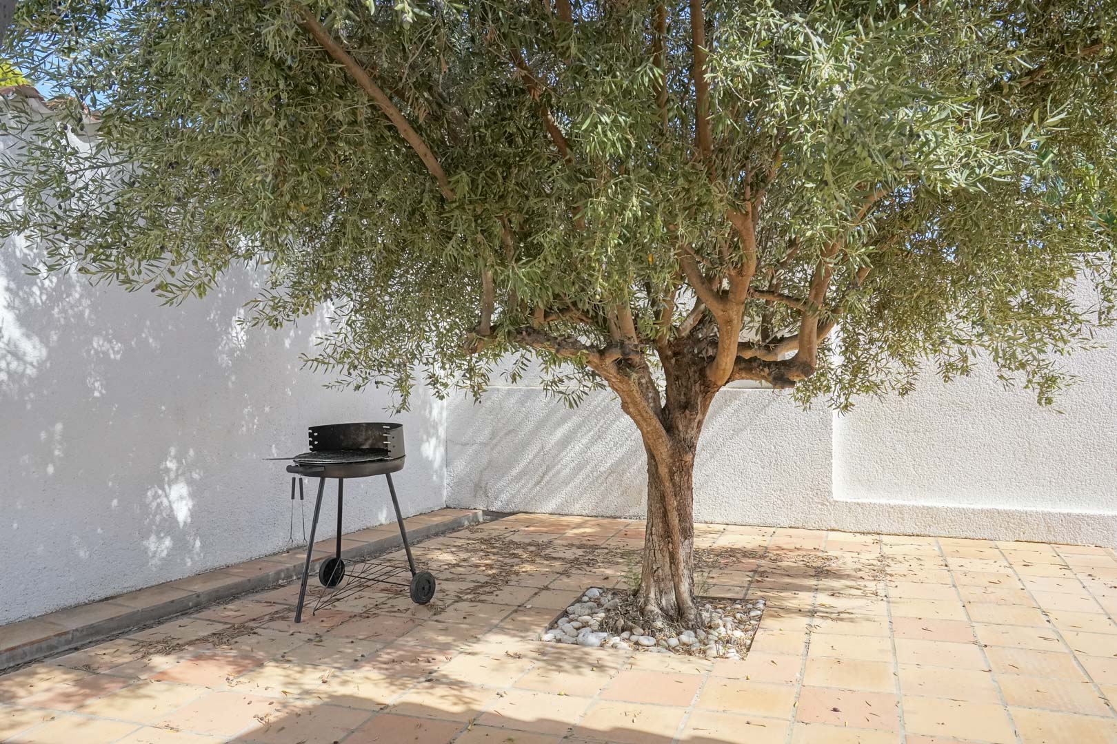 Schattige Ecke im mediterranen Garten mit einem alten Olivenbaum, Terrakotta-Fliesenboden und einem tragbaren Grill vor weißen, strukturierten Wänden.