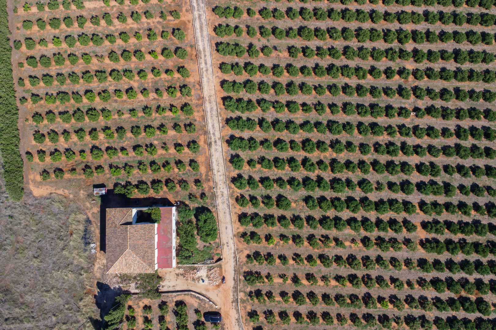 Luftaufnahme des weitläufigen landwirtschaftlichen Grundstücks mit geordneten Obstbaumreihen und dem zentralen Zufahrtsweg zum Landhaus.
