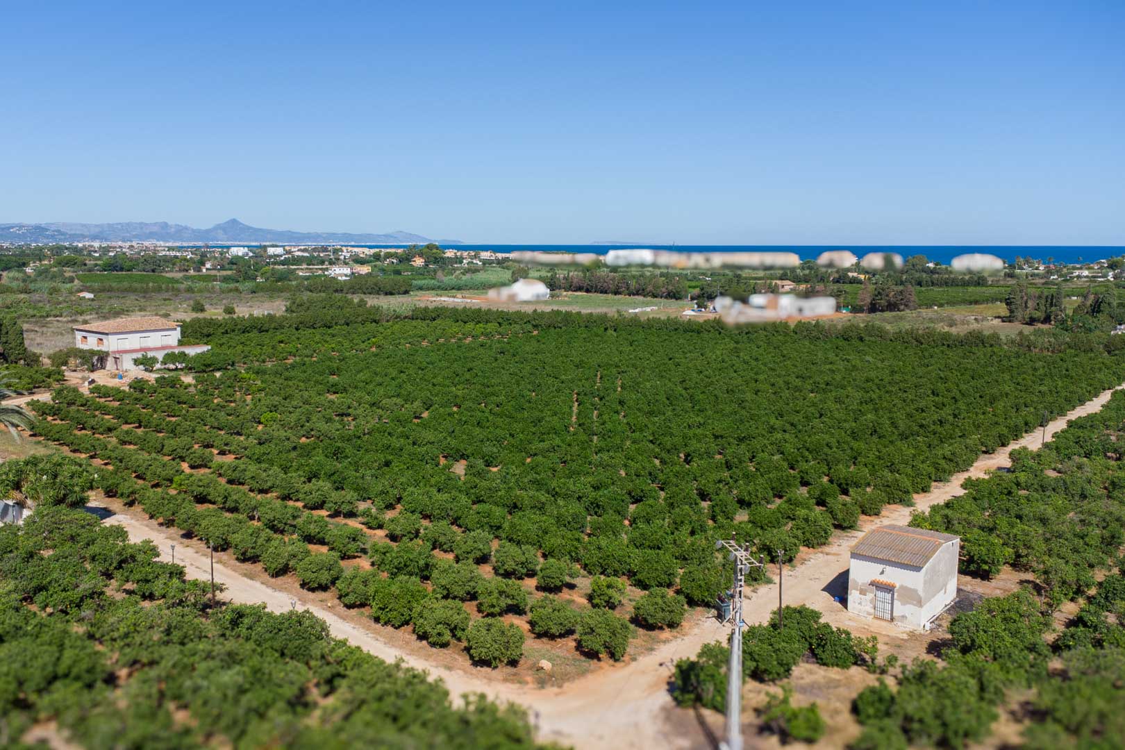 Luftaufnahme des weitläufigen landwirtschaftlichen Grundstücks mit Zitrusplantagen, dem Landhaus und dem Mittelmeer am Horizont von Dénia.