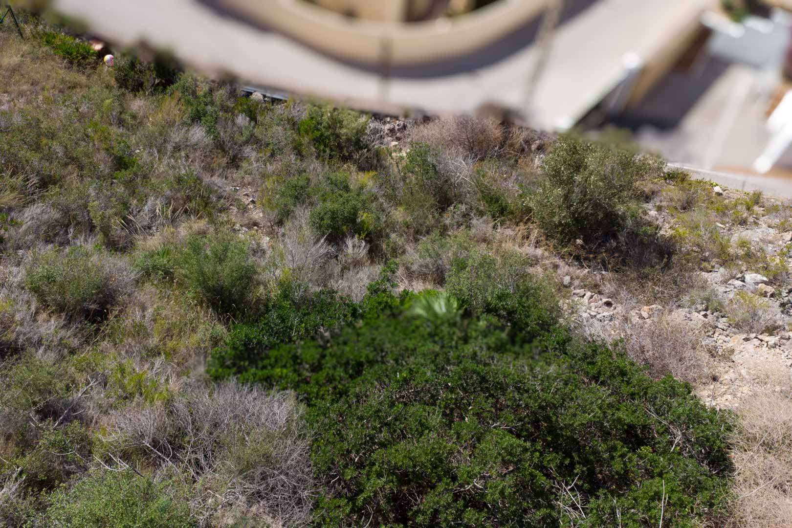 Ansicht des abfallenden Grundstücks mit natürlicher mediterraner Vegetation und felsigem Boden in unmittelbarer Nähe zur befestigten Straße.