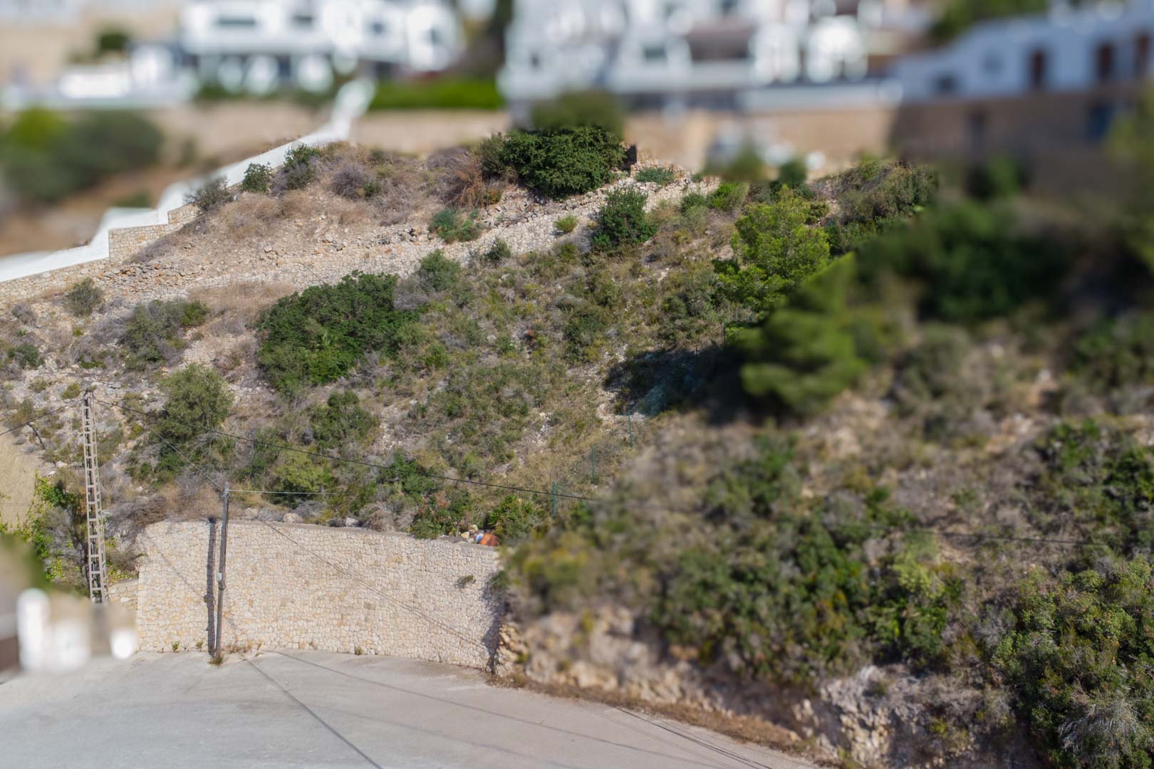 Erhöhtes Baugrundstück in El Portet mit Natursteinstützmauern und mediterraner Vegetation direkt an einer asphaltierten Zufahrtsstraße.