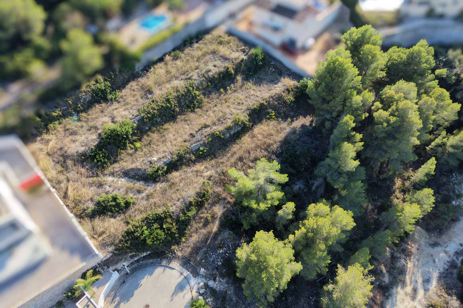 Luftaufnahme des terrassierten Baugrundstücks mit Trockenmauern, mediterranen Pinien und natürlicher Vegetation in einer ruhigen Wohngegend von Moraira.