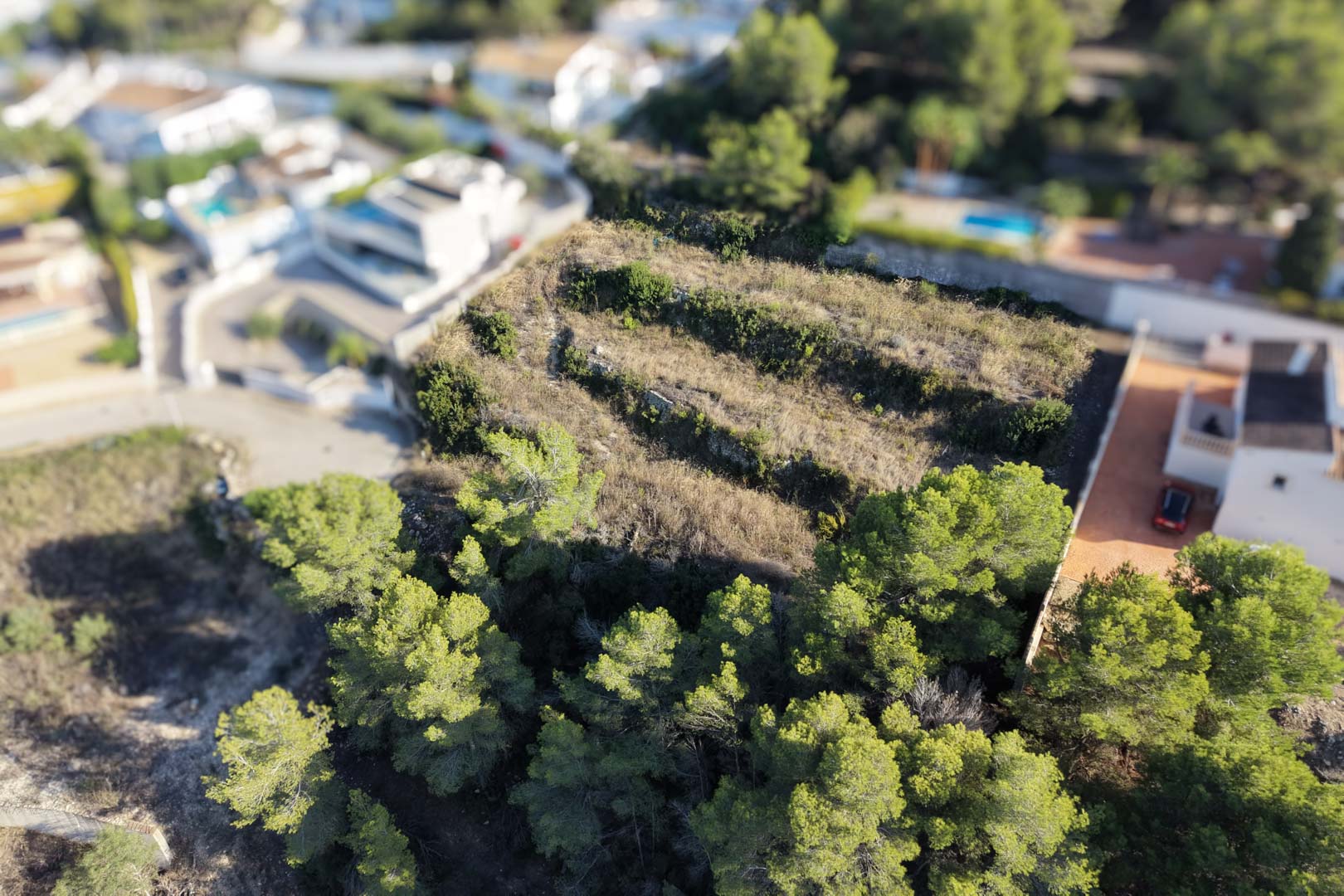 Luftaufnahme des terrassierten Stadtgrundstücks mit traditionellen Trockensteinmauern, umgeben von Pinien und Wohnhäusern in einer ruhigen Lage von Moraira.