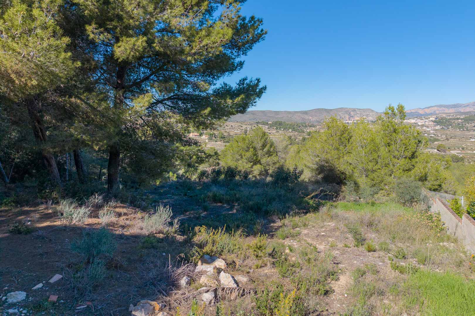 Baugrundstück in Benimeit mit altem Pinienbestand und freiem Blick über das Tal auf die Berge. Naturbelassenes Gelände mit mediterraner Vegetation.