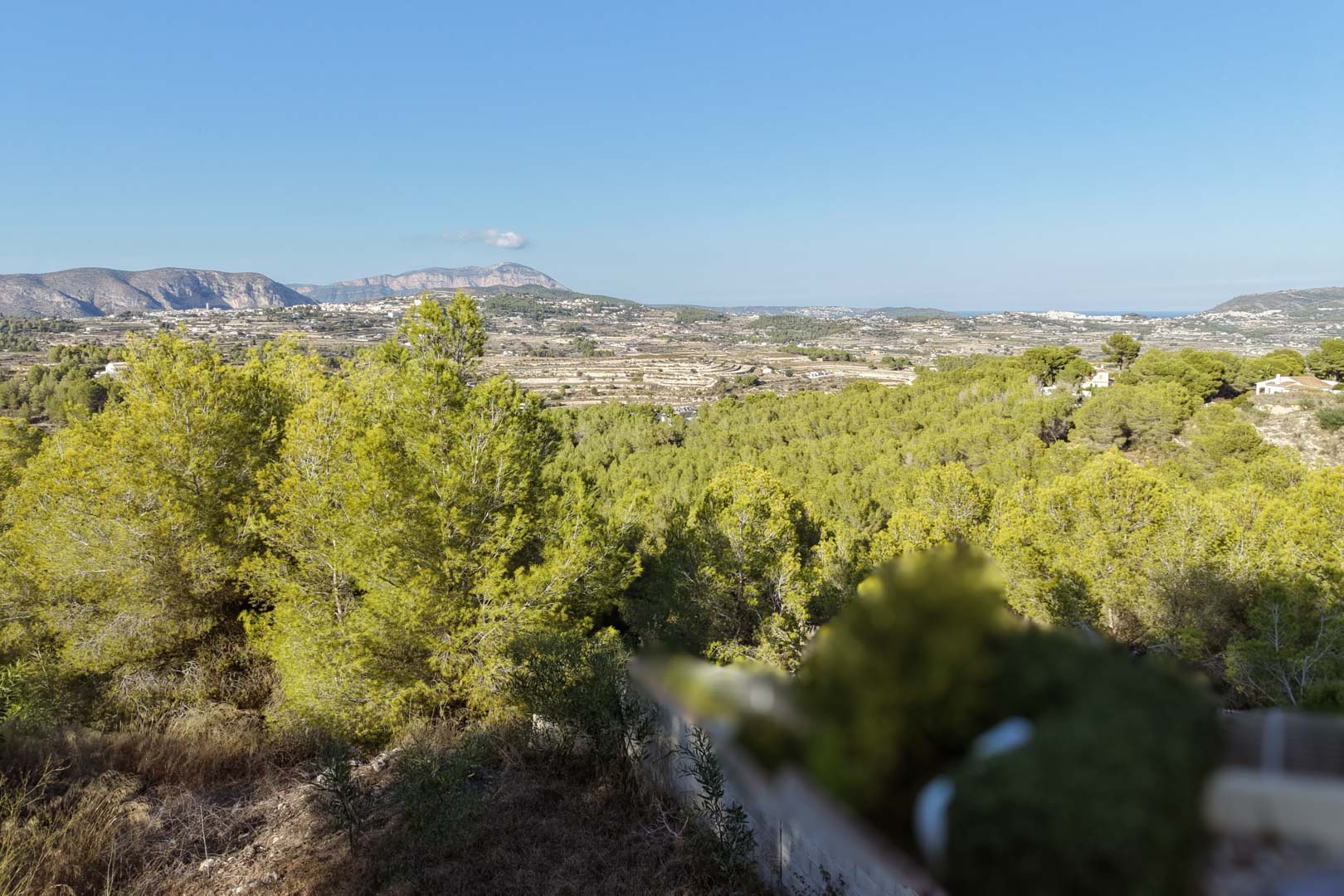 Erhöhter Panoramablick vom Grundstück in Benimeit auf das dichte Piniental, ferne Bergrücken und einen schmalen Streifen des Mittelmeers.