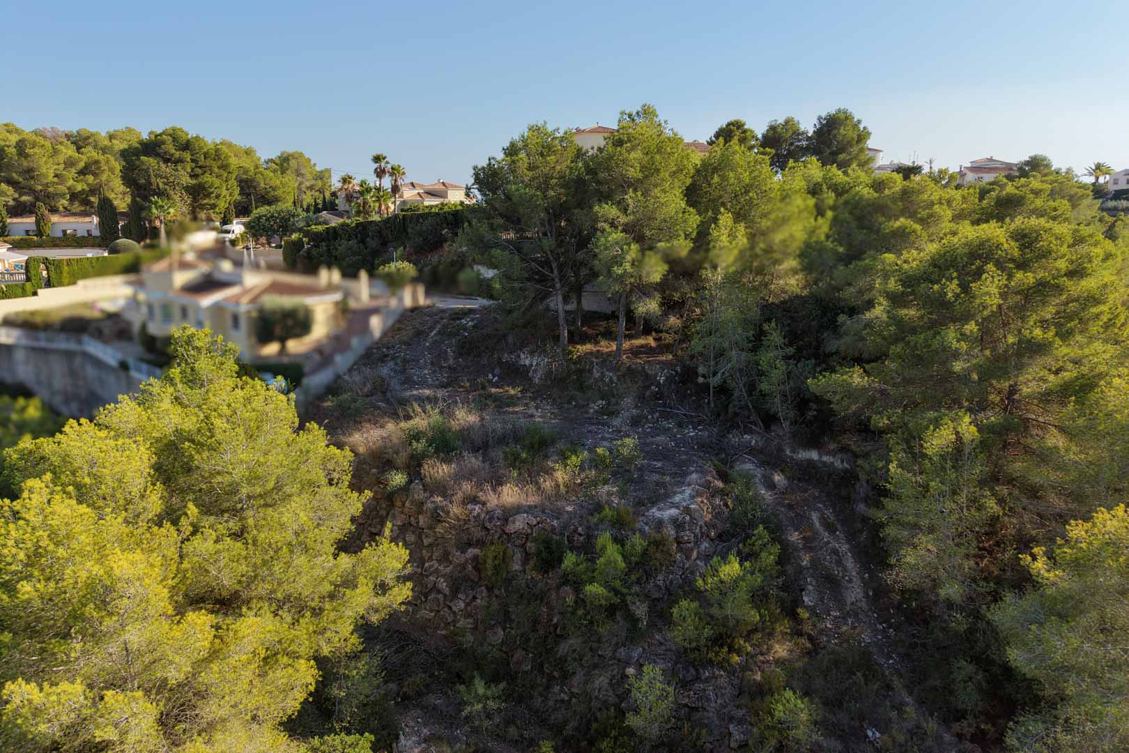 Erhöhtes Baugrundstück in Moraira mit Natursteinmauern, umgeben von altem Pinienbestand und mediterraner Vegetation.