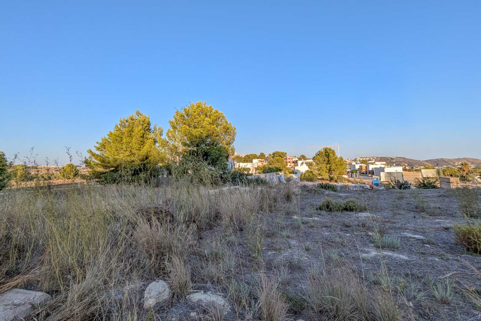 Blick auf das ebene Grundstück mit einheimischer Vegetation und Pinien, umgeben von modernen Einfamilienhäusern im Wohngebiet El Tesoro.