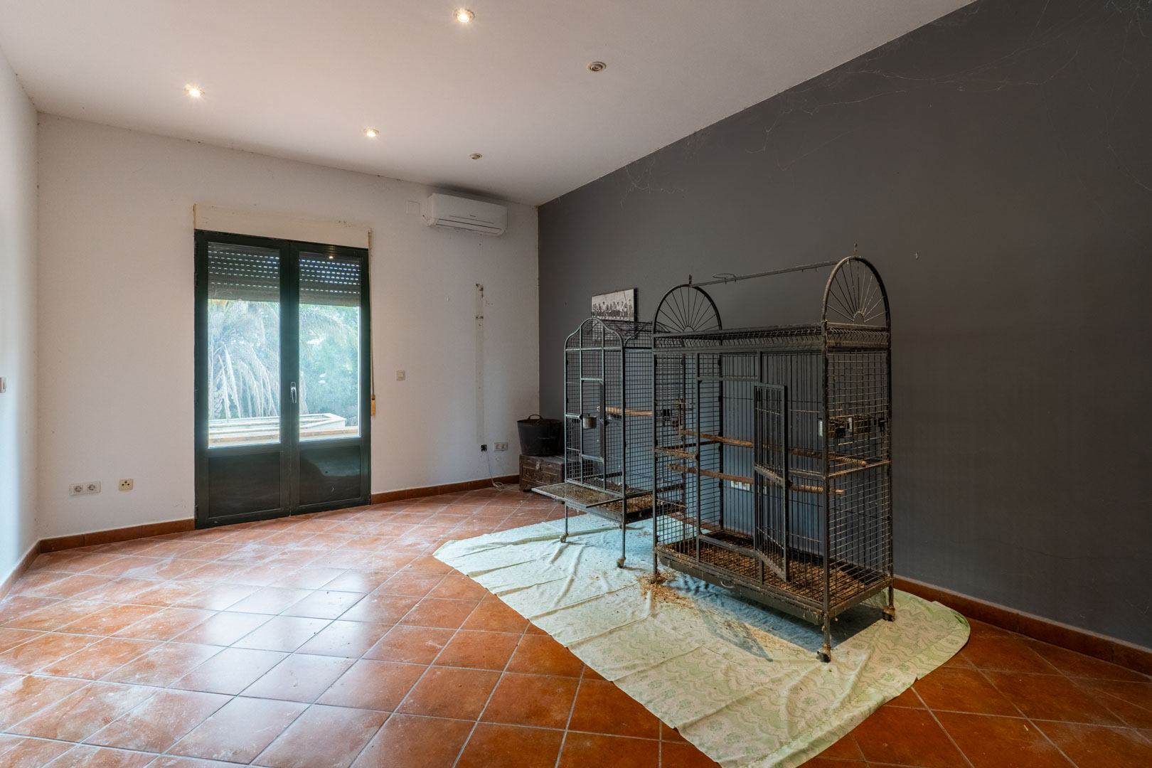 Zimmer mit Terrakotta-Fliesenboden, grauer Akzentwand und Einbaustrahlern. Eine Glastür mit Rollladen führt direkt in den begrünten Außenbereich der Finca.