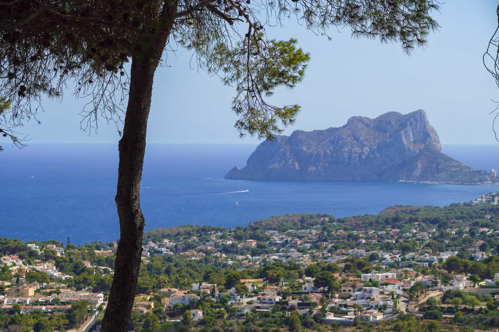 Panoramablick auf das Mittelmeer und den Peñón de Ifach, eingerahmt von einer Kiefer mit Blick auf das Küstental und die umliegenden Villen.