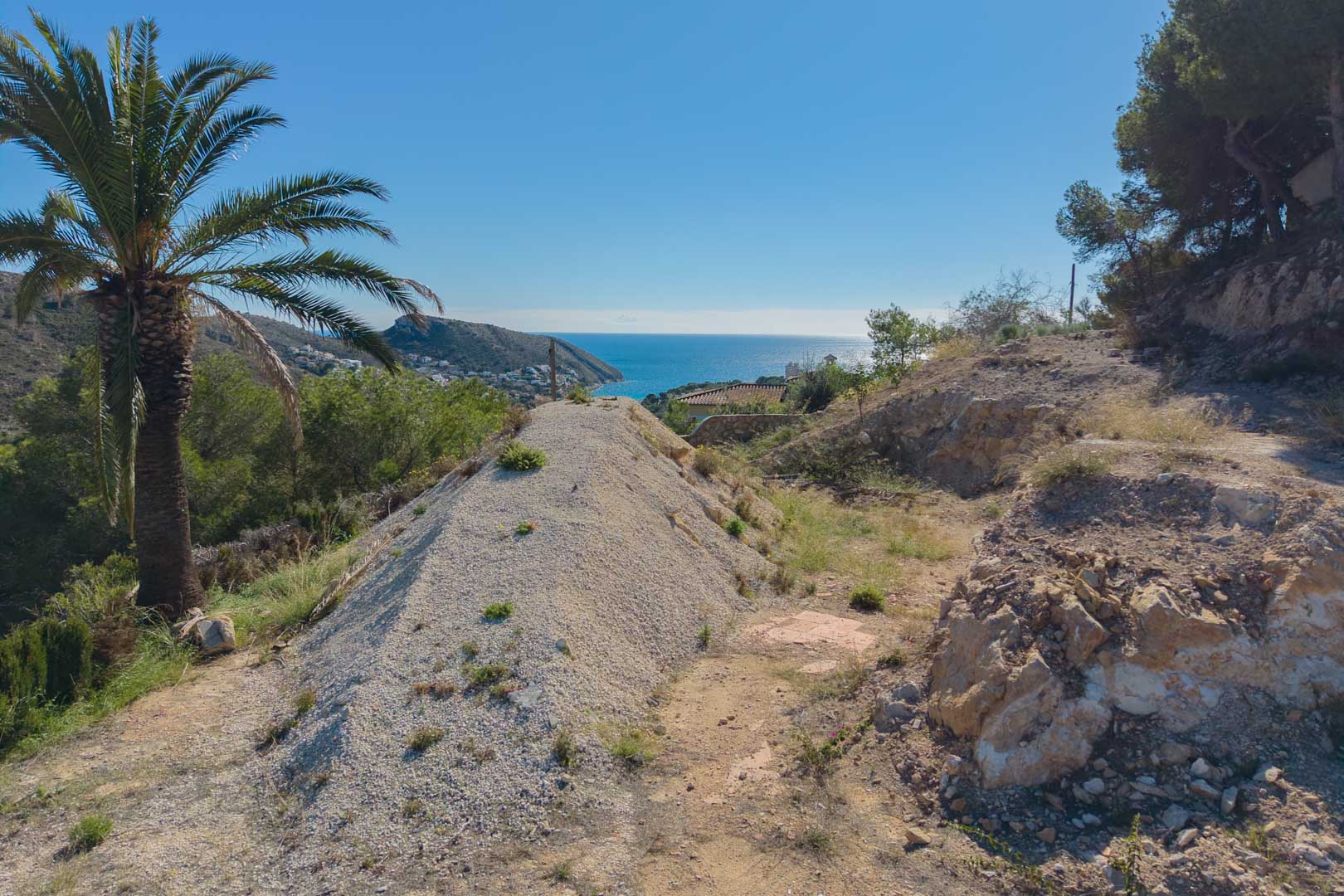 Erhöhtes Baugrundstück in Moraira mit Panoramablick auf das Mittelmeer, geprägt durch felsiges Terrain, eine Palme und angrenzenden Pinienwald.