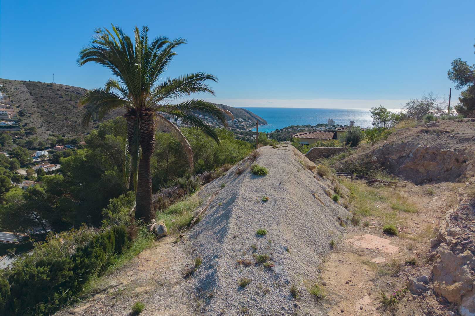 Panoramablick vom erhöhten Grundstück auf die Bucht von El Portet, mit einer Palme und dem Mittelmeer unter klarem blauem Himmel.