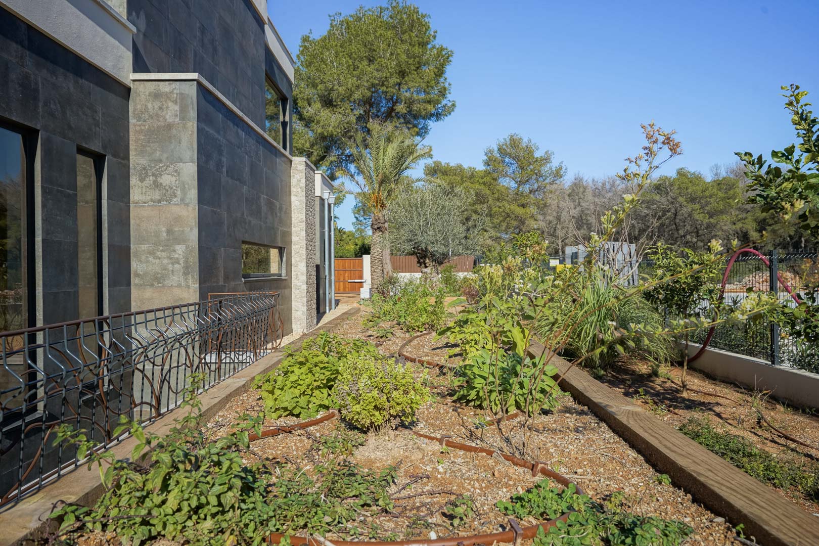 Moderne Fassade mit dunkler Steinverkleidung neben einem mediterranen Garten mit Tropfbewässerungssystem und heimischen Pflanzen.