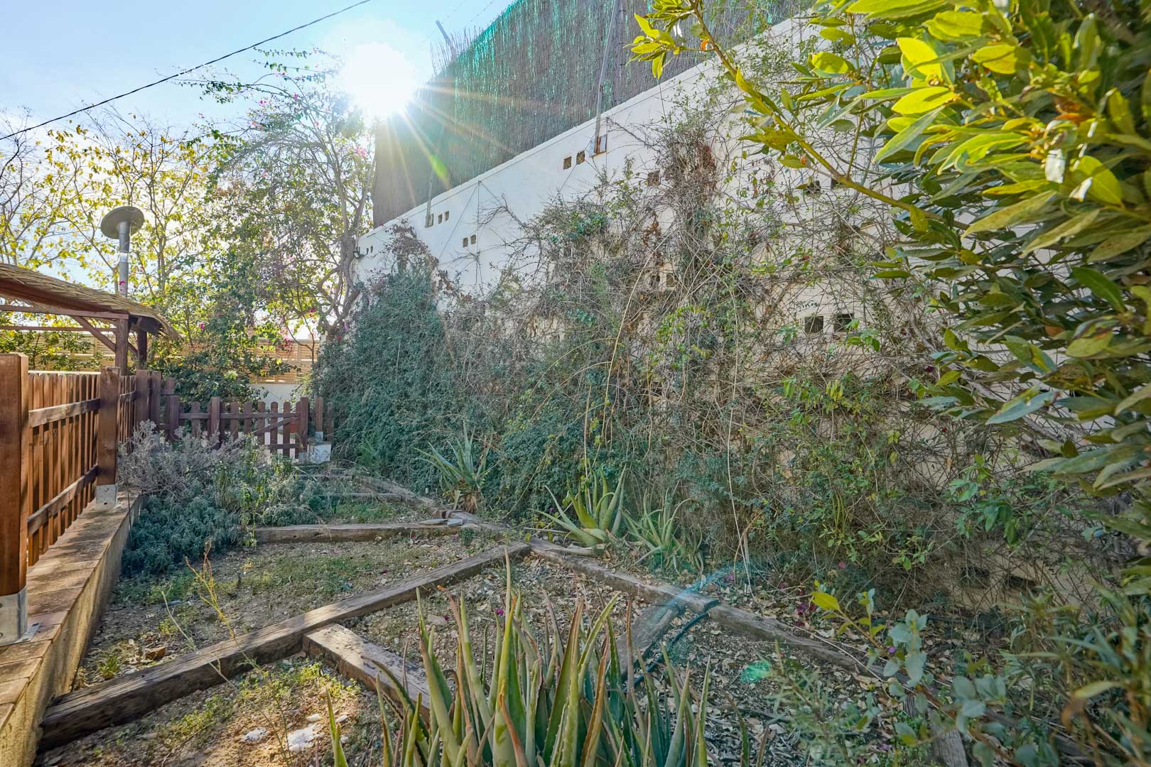 Gartenbereich mit Holzschwellen zur Beeteinfassung, Aloe-Vera-Pflanzen und Kletterpflanzen an einer hohen weißen Mauer unter strahlendem Sonnenlicht.