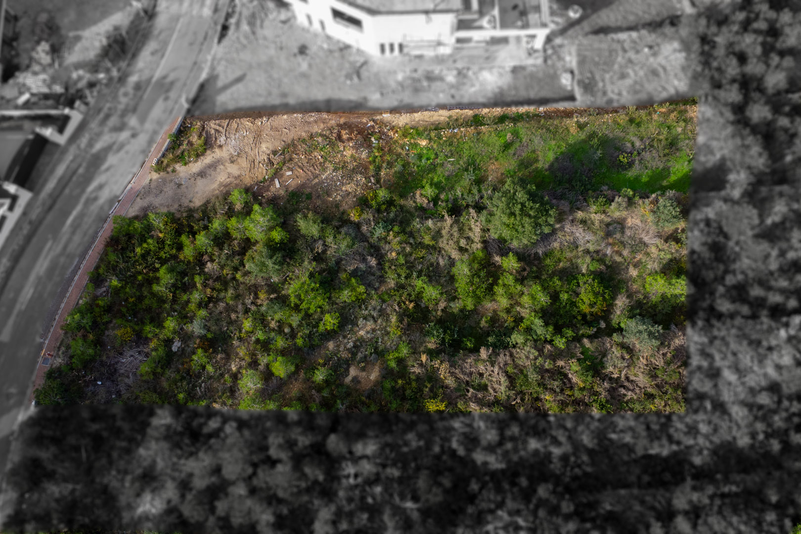 Luftaufnahme des rechteckigen Baugrundstücks in Monte Olímpico mit natürlicher Vegetation und direktem Zugang zur asphaltierten Straße mit Gehwegen.