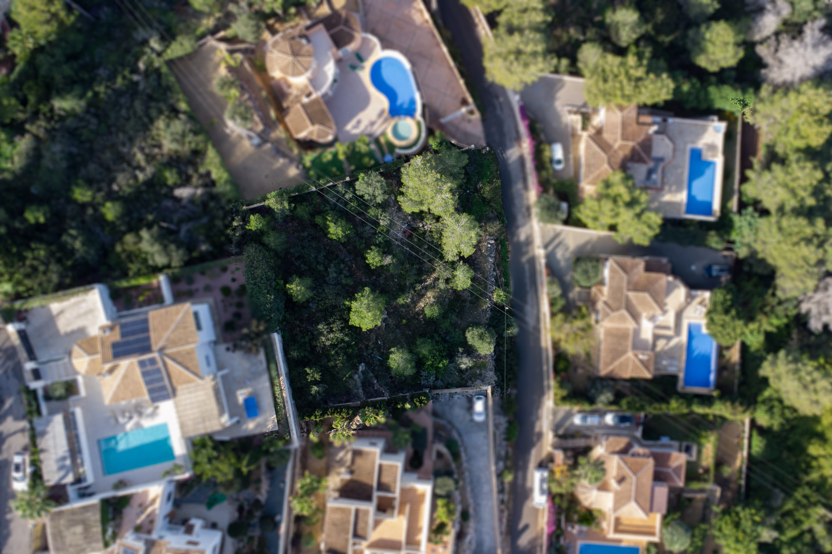Luftaufnahme des 1042m2 großen Grundstücks aus der Vogelperspektive, bewachsen mit Pinien und eingebettet in eine exklusive Wohngegend mit privaten Villen.