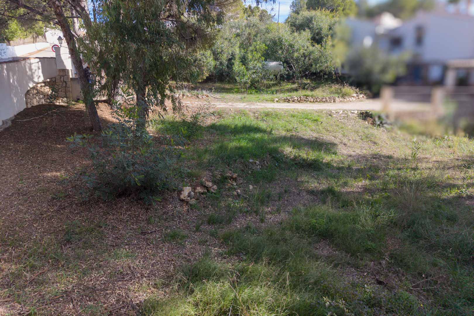 Baugrundstück in leichter Hanglage mit einheimischer Vegetation und Pinien. Es verfügt über Natursteinmauern und direkten Zugang von einer ruhigen Wohnstraße.