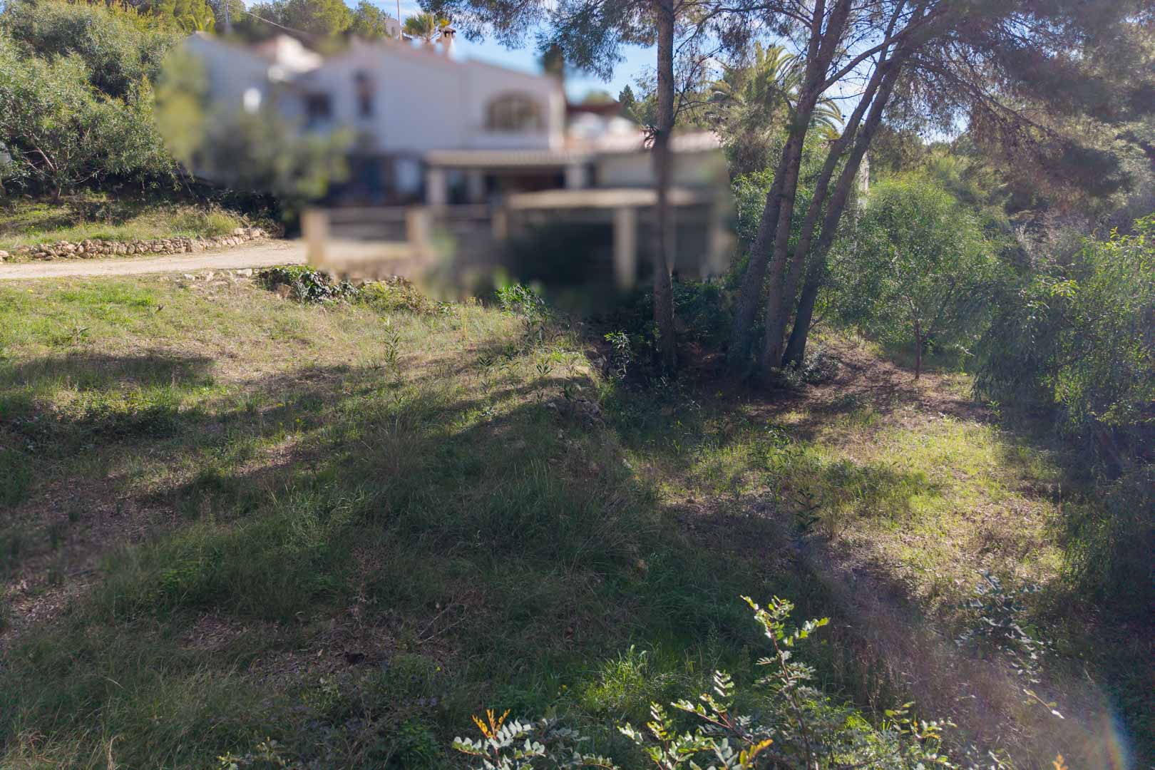 Baugrundstück mit natürlicher mediterraner Vegetation und Pinien in einem ruhigen Wohnviertel von Moraira mit hervorragender Sonneneinstrahlung.