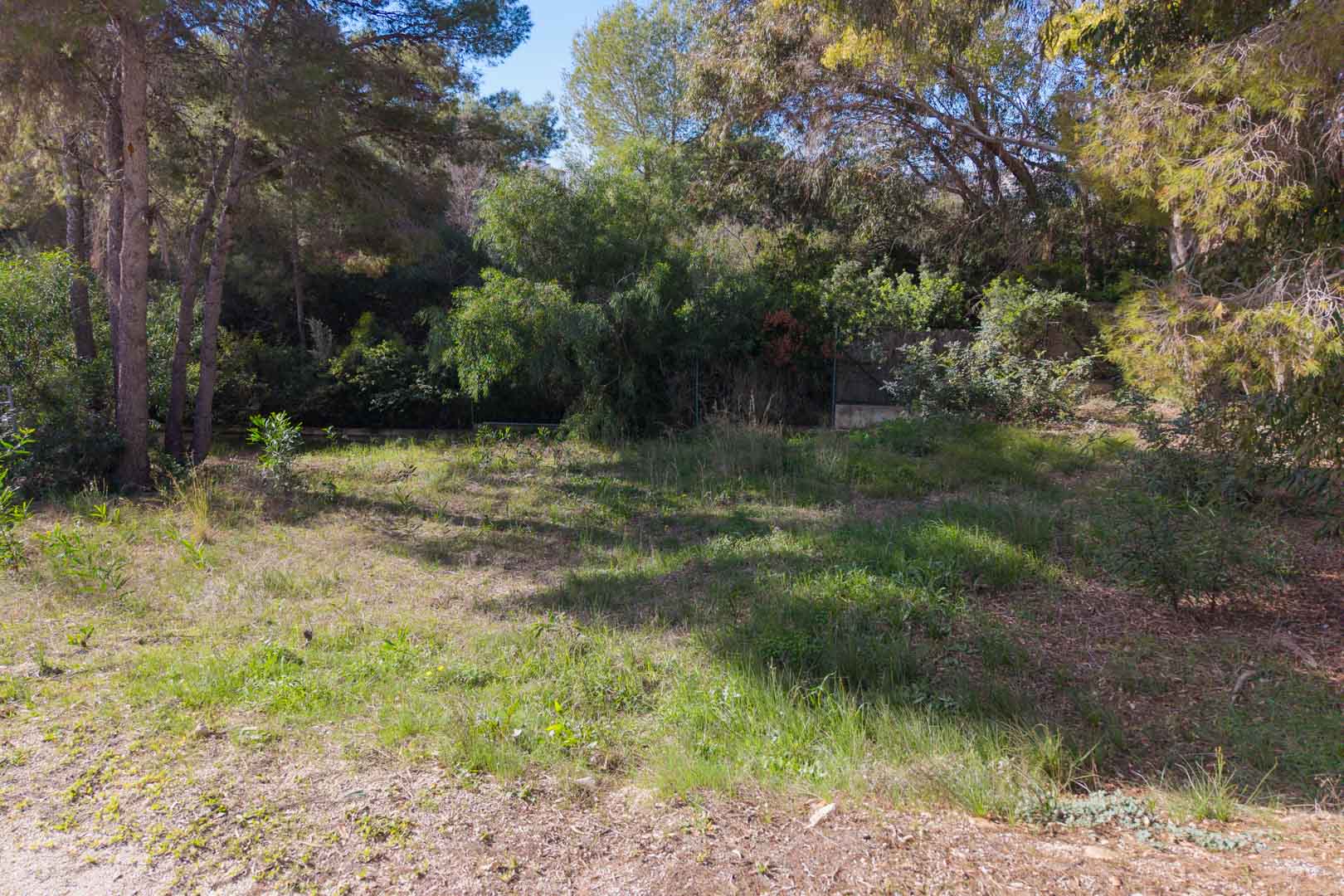 Ebenes Stadtgrundstück in Moraira, umgeben von altem Pinienbestand und mediterraner Vegetation, ideal für den Bau einer privaten Villa.