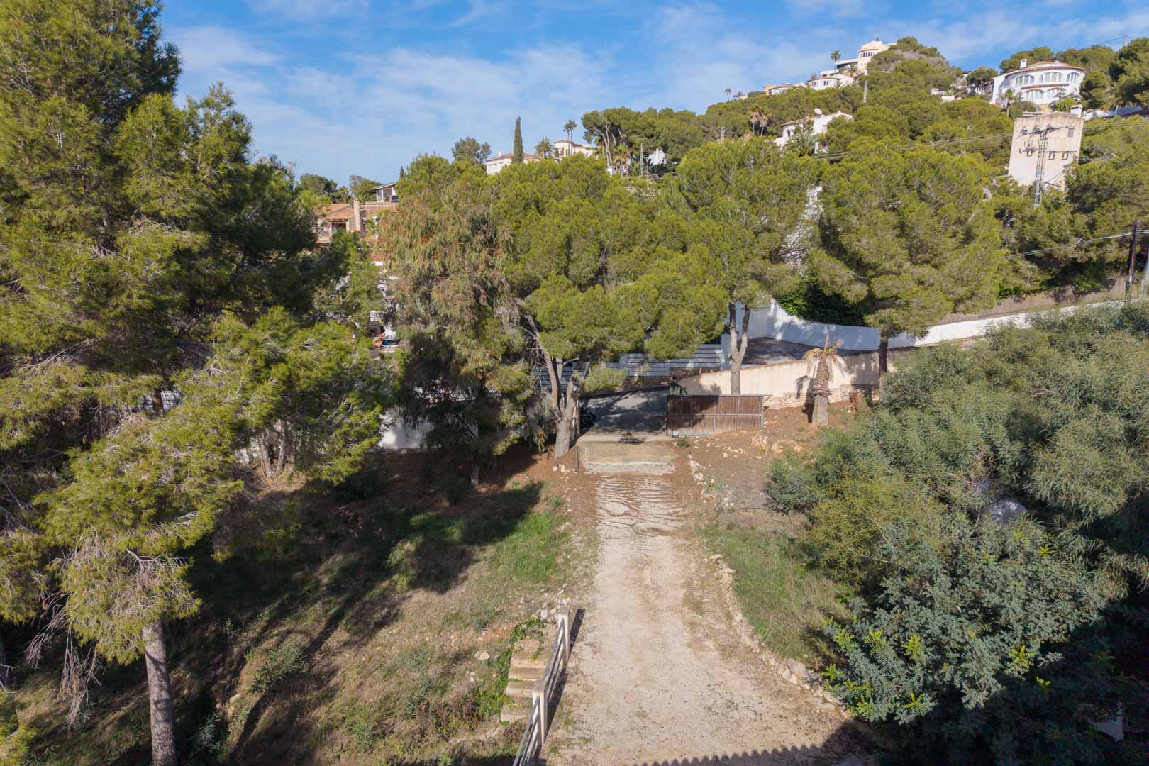 Erhöhte Ansicht des Baugrundstücks mit privatem Zufahrtsweg, umgeben von altem Pinienbestand und mediterraner Vegetation in einer ruhigen Wohnlage.