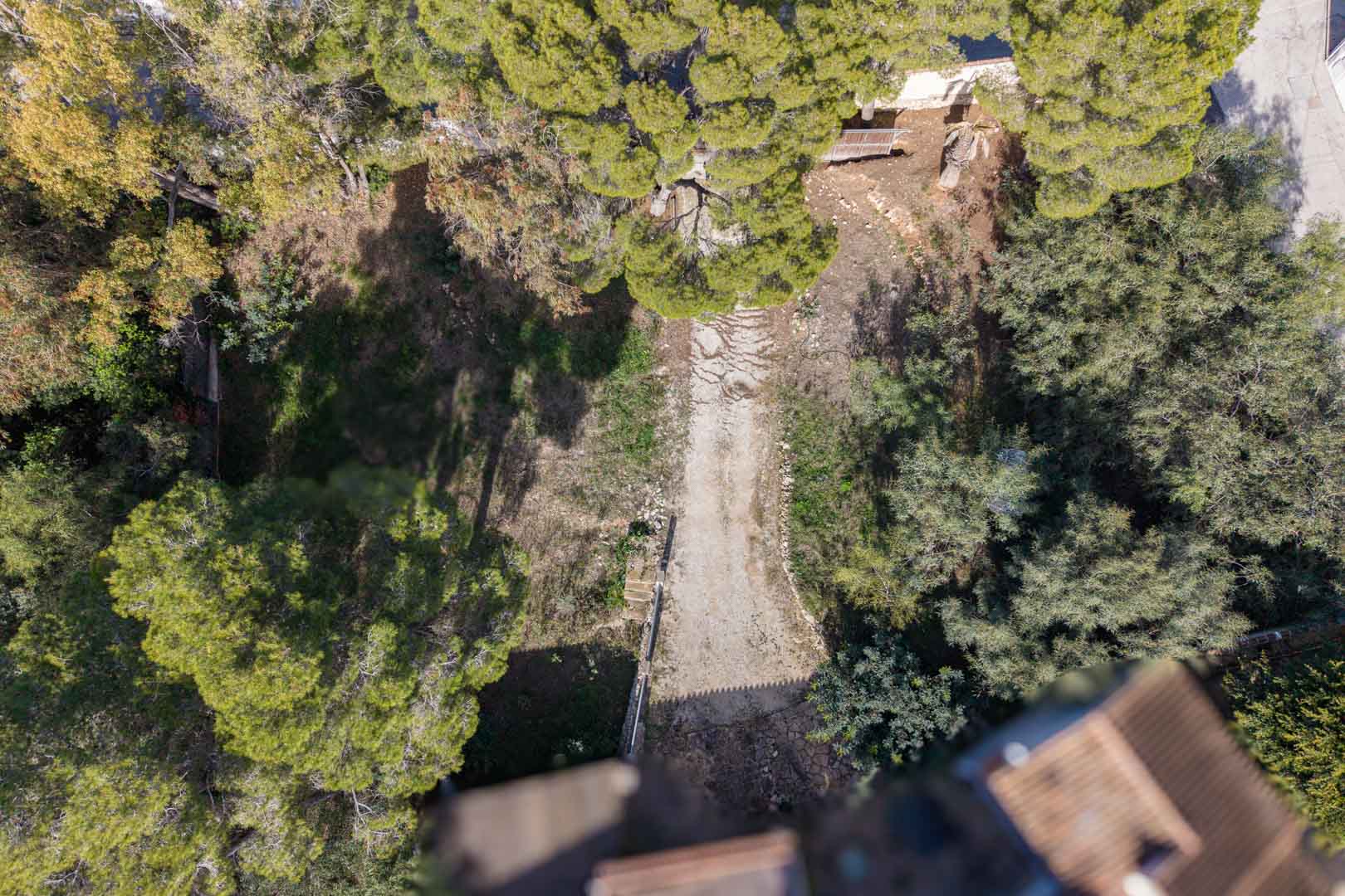 Luftaufnahme des Grundstücks mit zentralem Zufahrtsweg, umgeben von altem Pinienbestand und natürlicher Vegetation innerhalb der Grundstücksbegrenzung.