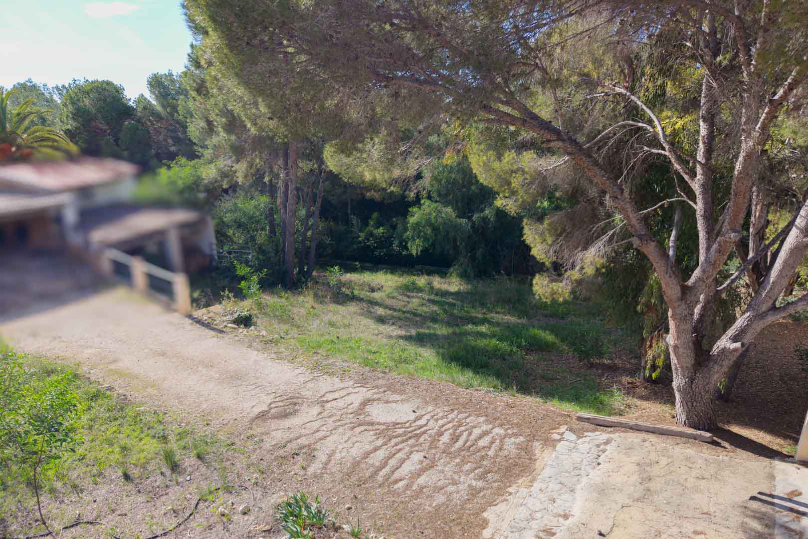 Urbanes Grundstück in Hanglage mit altem Kiefernbestand und natürlicher Vegetation. Es verfügt über einen befestigten Zufahrtsweg in ruhiger Wohnlage.