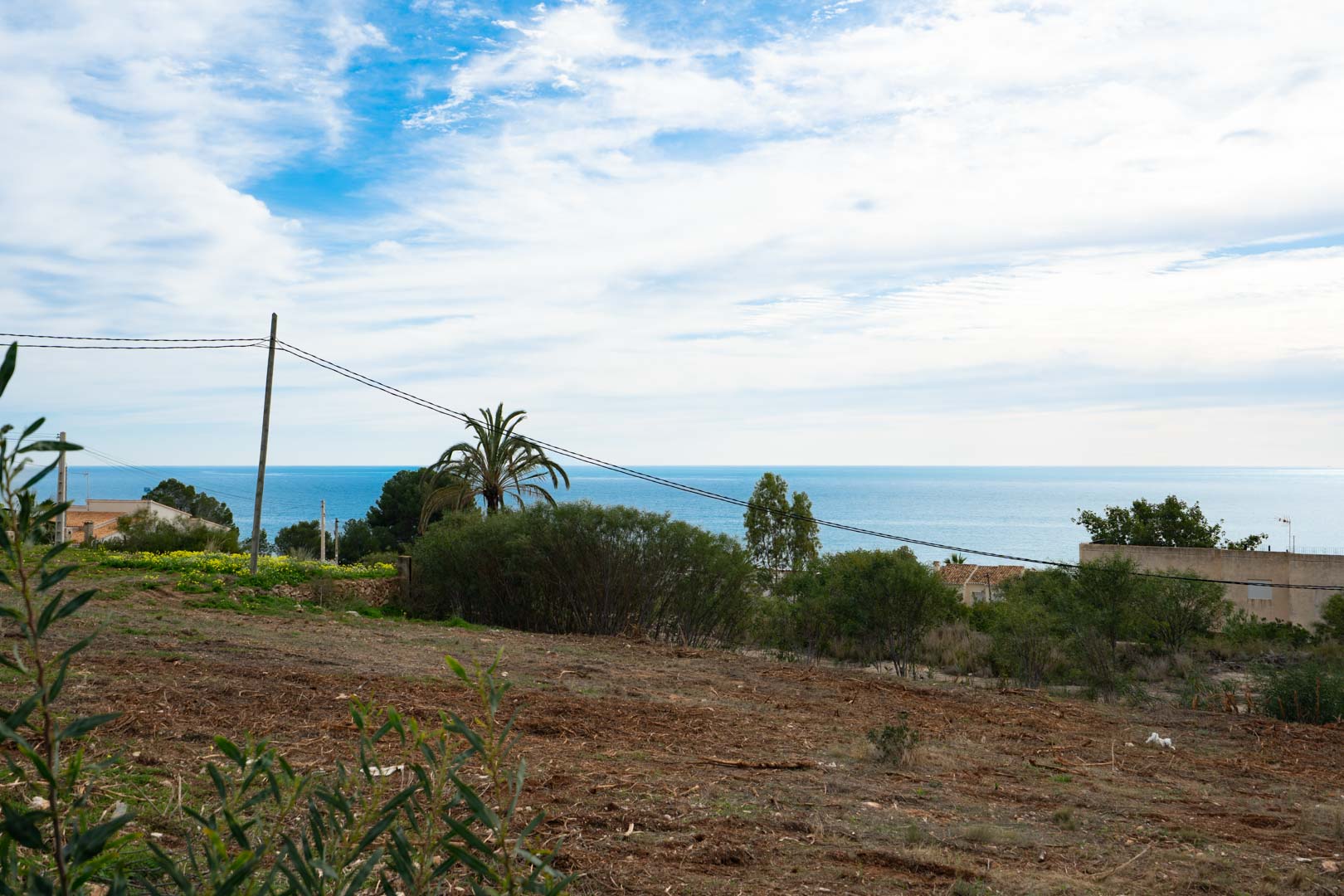 Erhöhtes Grundstück mit freiem Blick auf das Mittelmeer, umgeben von mediterraner Vegetation und einer Palme unter hellem Himmel.