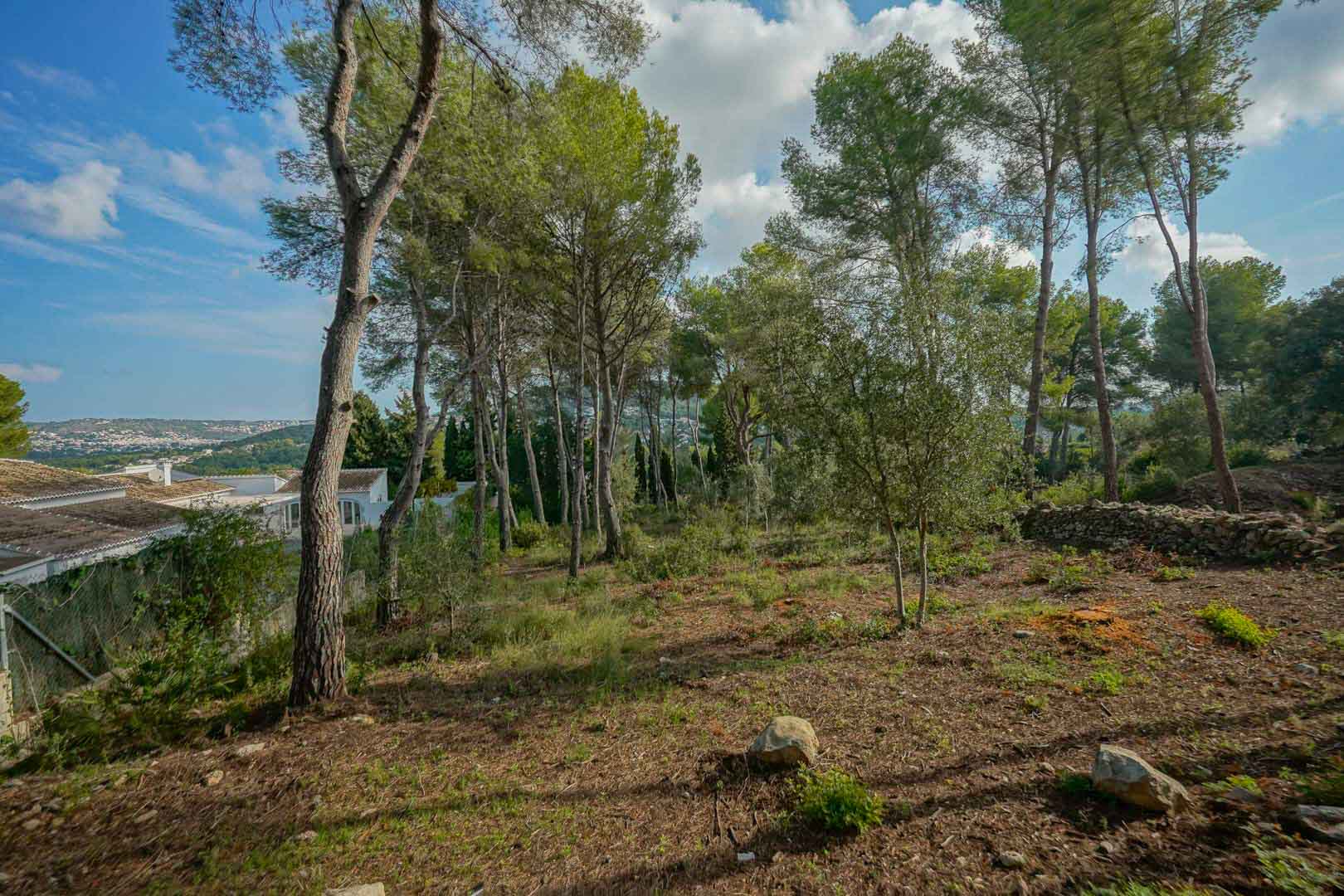 Erhöhtes Baugrundstück mit altem Pinienbestand und freiem Talblick, begrenzt durch Natursteinmauern und benachbarte Villen.