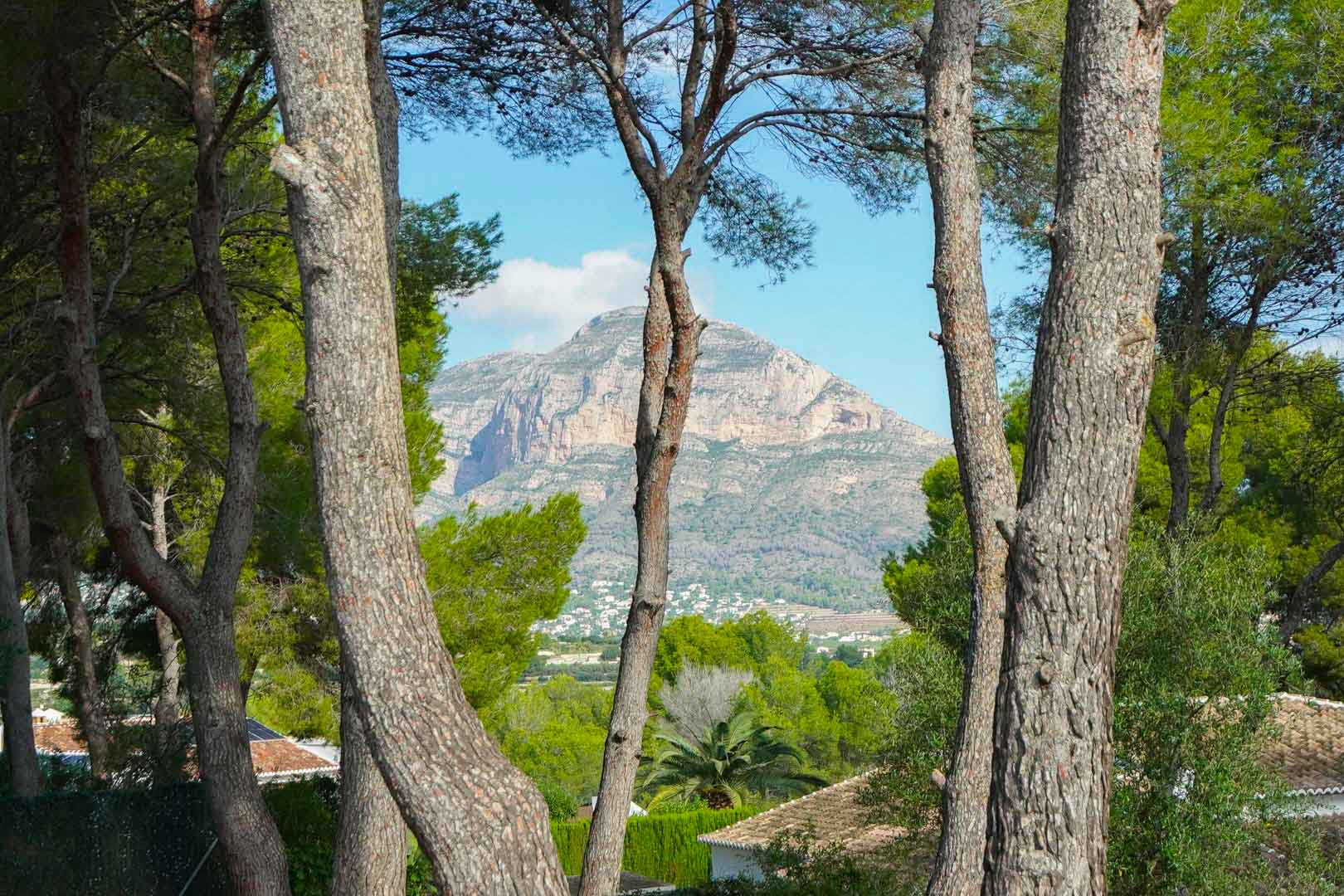 Panoramablick auf den Berg Montgó, eingerahmt von alten Pinien auf dem Grundstück in La Lluca, der die natürliche Umgebung und die umliegenden Villen zeigt.