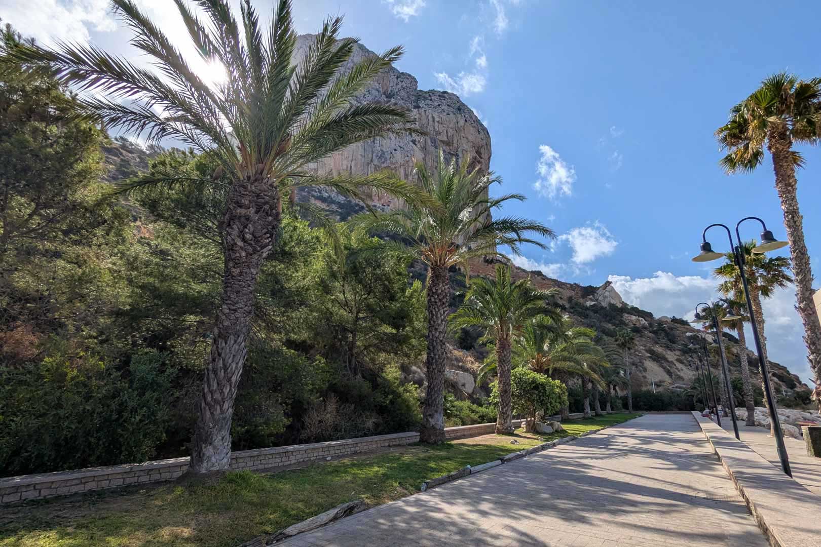 Gepflasterte Promenade am Fuße des Peñón de Ifach in Calpe, gesäumt von hohen Palmen und mediterraner Flora bei sonnigem Wetter.