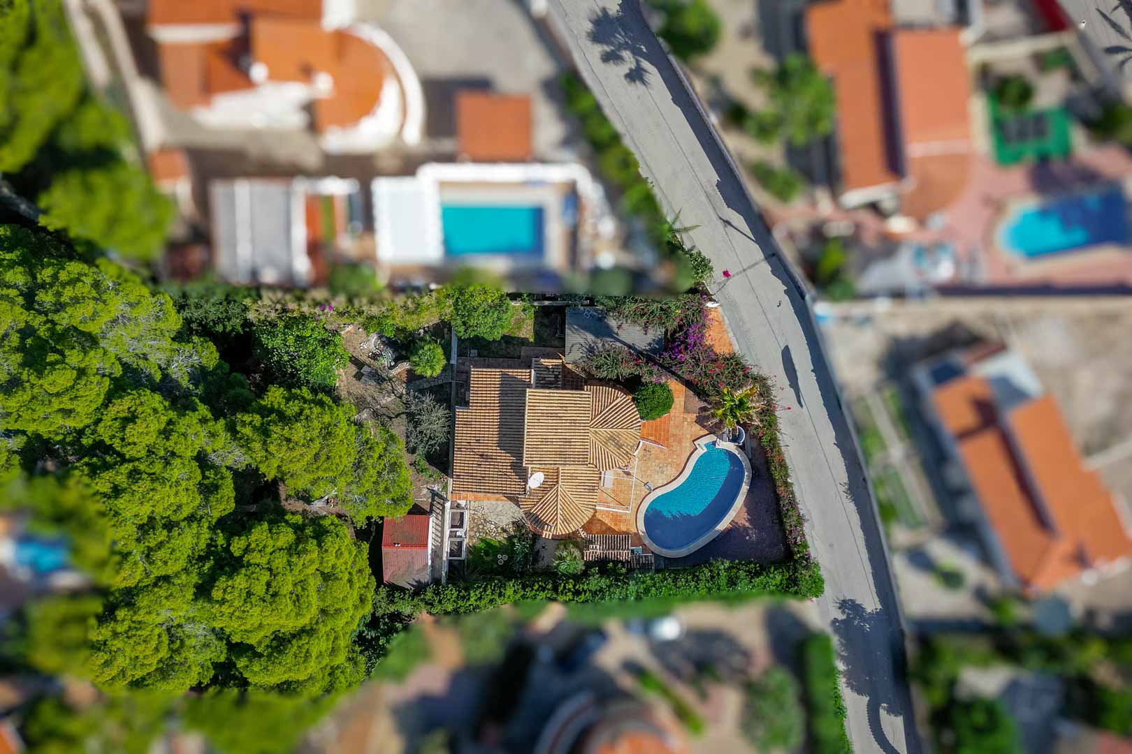 Luftaufnahme des Anwesens mit Terrakotta-Ziegeldächern, einem nierenförmigen Privatpool und einem eingewachsenen Garten mit Pinien und Hecken.