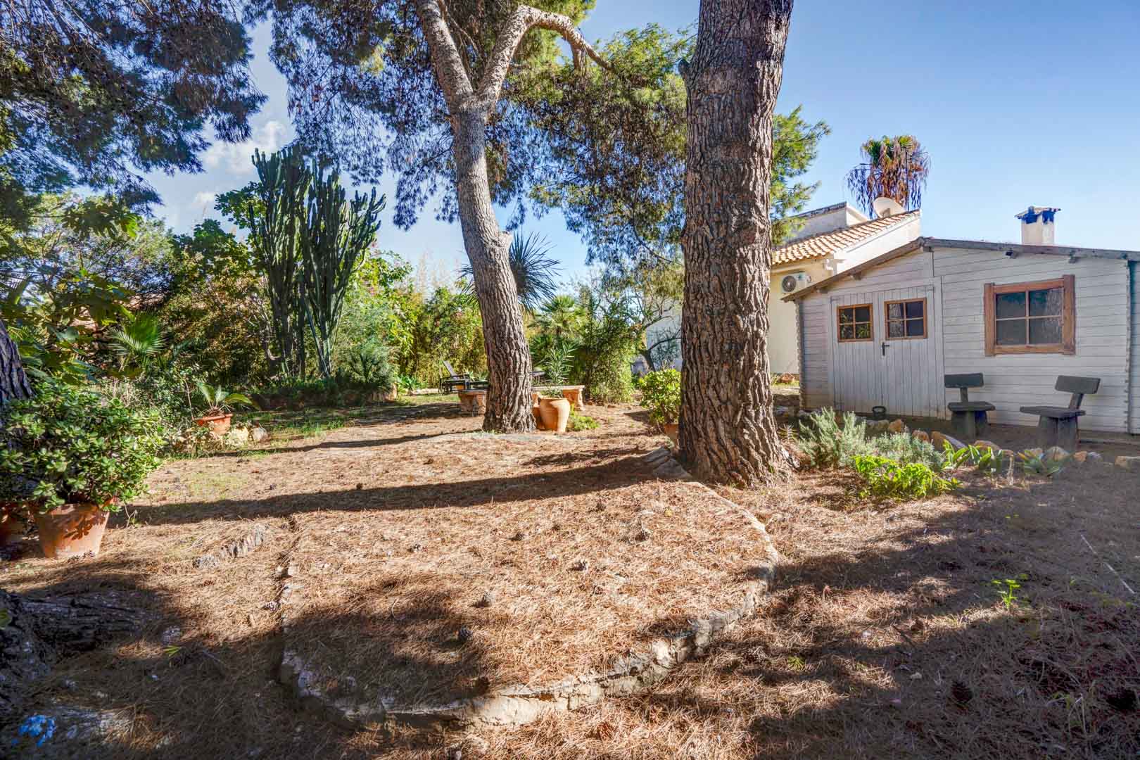 Mediterraner Garten mit alten Pinien, Kakteen und einem weißen Gartenhaus aus Holz. Natürliche Schattenplätze und rustikale Steineinfassungen prägen das Außenareal.