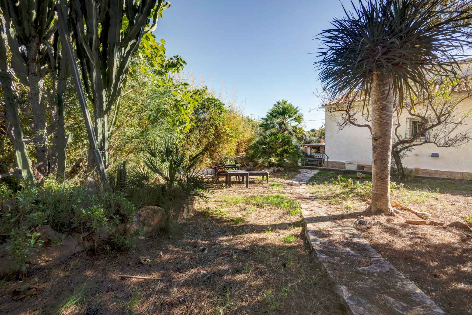 Mediterraner Garten mit Natursteinpfaden, ausgewachsener Vegetation mit Palmen und Kakteen sowie einem Sitzbereich im Freien neben der weißen Hausfassade.
