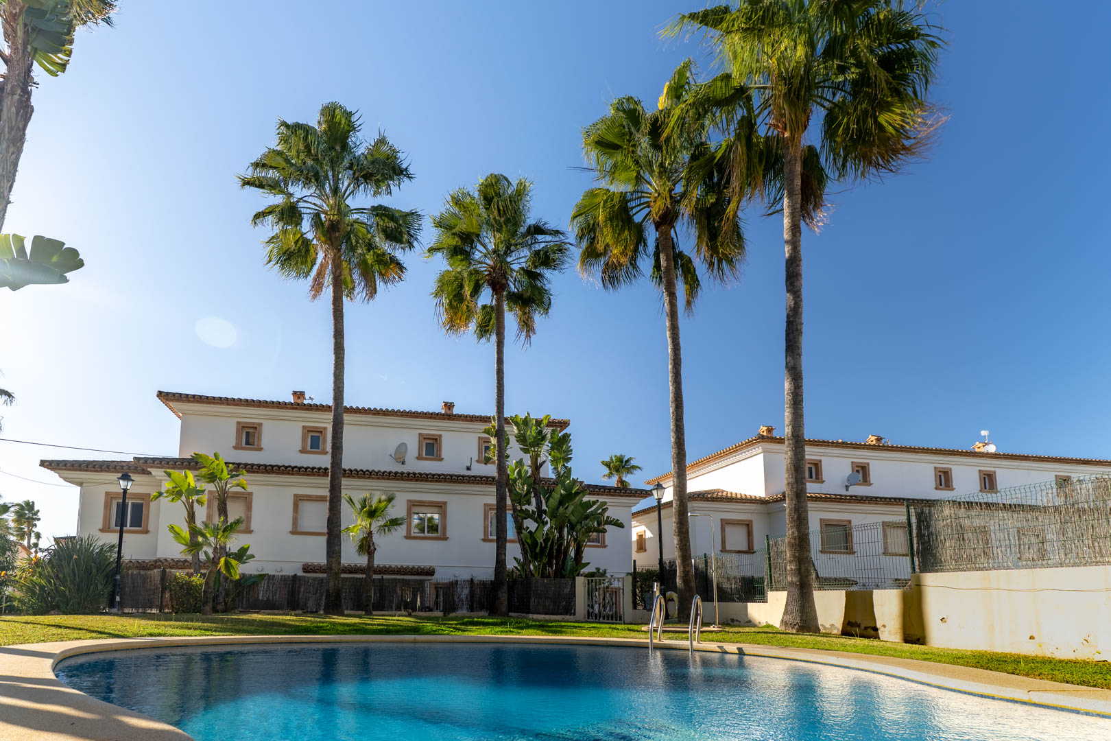 Gemeinschaftlicher Pool in geschwungener Form, umgeben von Rasenflächen und hohen Palmen, vor den weißen mediterranen Fassaden und Terrakottadächern der Anlage.