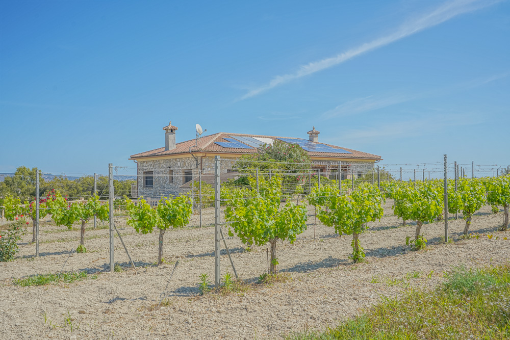 Außenansicht einer steinverkleideten Villa mit Solarmodulen auf dem Ziegeldach, umgeben von einem privaten Weinberg mit Rebstöcken an Drahtrahmen.