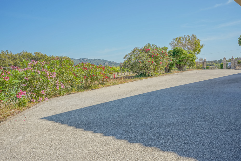 Breite gepflasterte Einfahrt, gesäumt von blühendem Oleander und mediterraner Vegetation, mit Blick auf die umliegenden Weinberge und Hügel.