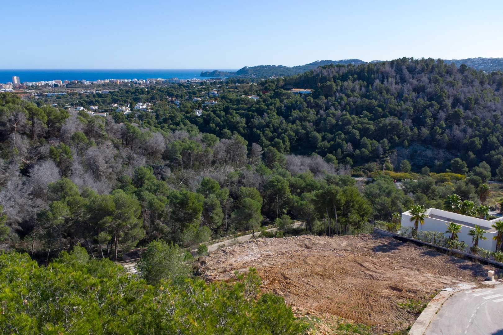 Erhöhtes Baugrundstück in Tosalet 5 mit Panoramablick auf das Mittelmeer und die Küste von Jávea, eingebettet in eine natürliche Pinienlandschaft.