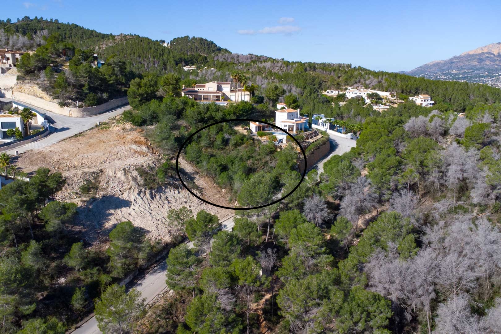 Luftaufnahme eines Baugrundstücks in Hanglage in Tosalet 5, bewachsen mit Pinien und gelegen in einer exklusiven Wohngegend mit moderner Infrastruktur.