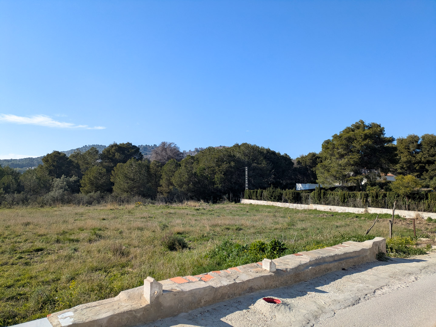 Blick auf das weitläufige, flache rustikale Grundstück, umgeben von Pinien und mediterraner Vegetation, begrenzt durch eine Steinmauer.