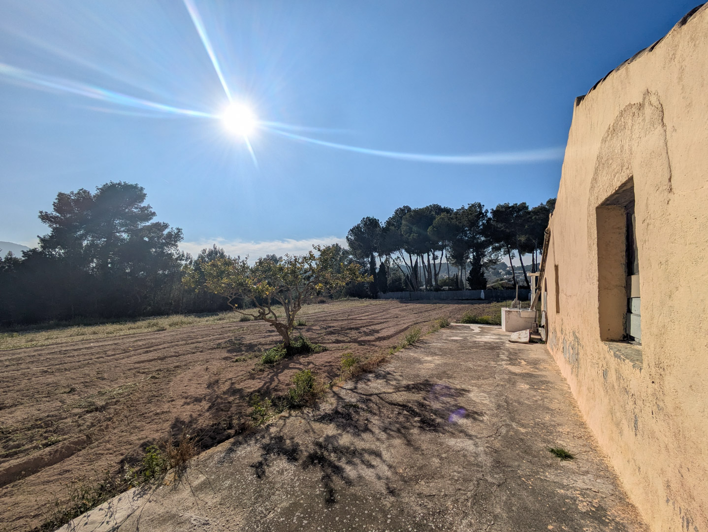 Seitenfassade der Finca mit ockerfarbenem Putz, Betonterrasse und Blick auf das flache, rustikale Grundstück, gesäumt von Pinien unter strahlendem Himmel.