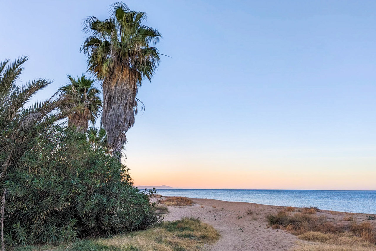 Blick auf einen Sandstrand in Dénia bei Sonnenuntergang, mit Palmen und Küstenvegetation an einem Pfad zum Mittelmeer.