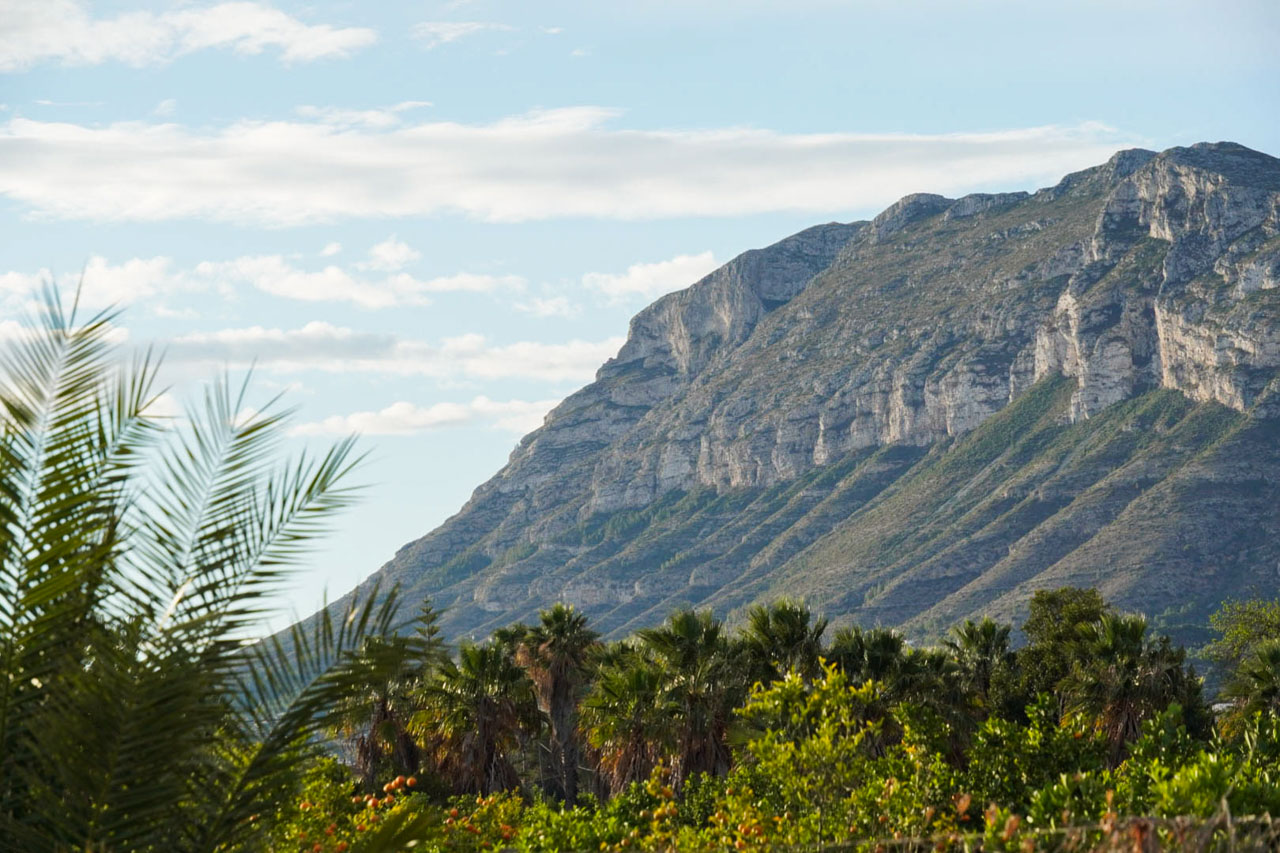 Freier Blick auf das Montgó-Massiv von der Immobilie aus, umgeben von mediterraner Vegetation, Palmen und Zitrushainen unter leicht bewölktem Himmel.
