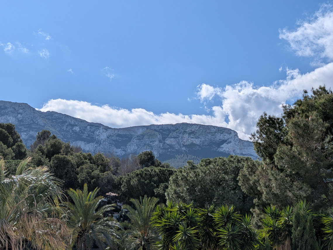 Freier Blick auf den Naturpark Montgó vom Grundstück aus, umgeben von üppiger mediterraner Vegetation mit Pinien und Palmen.