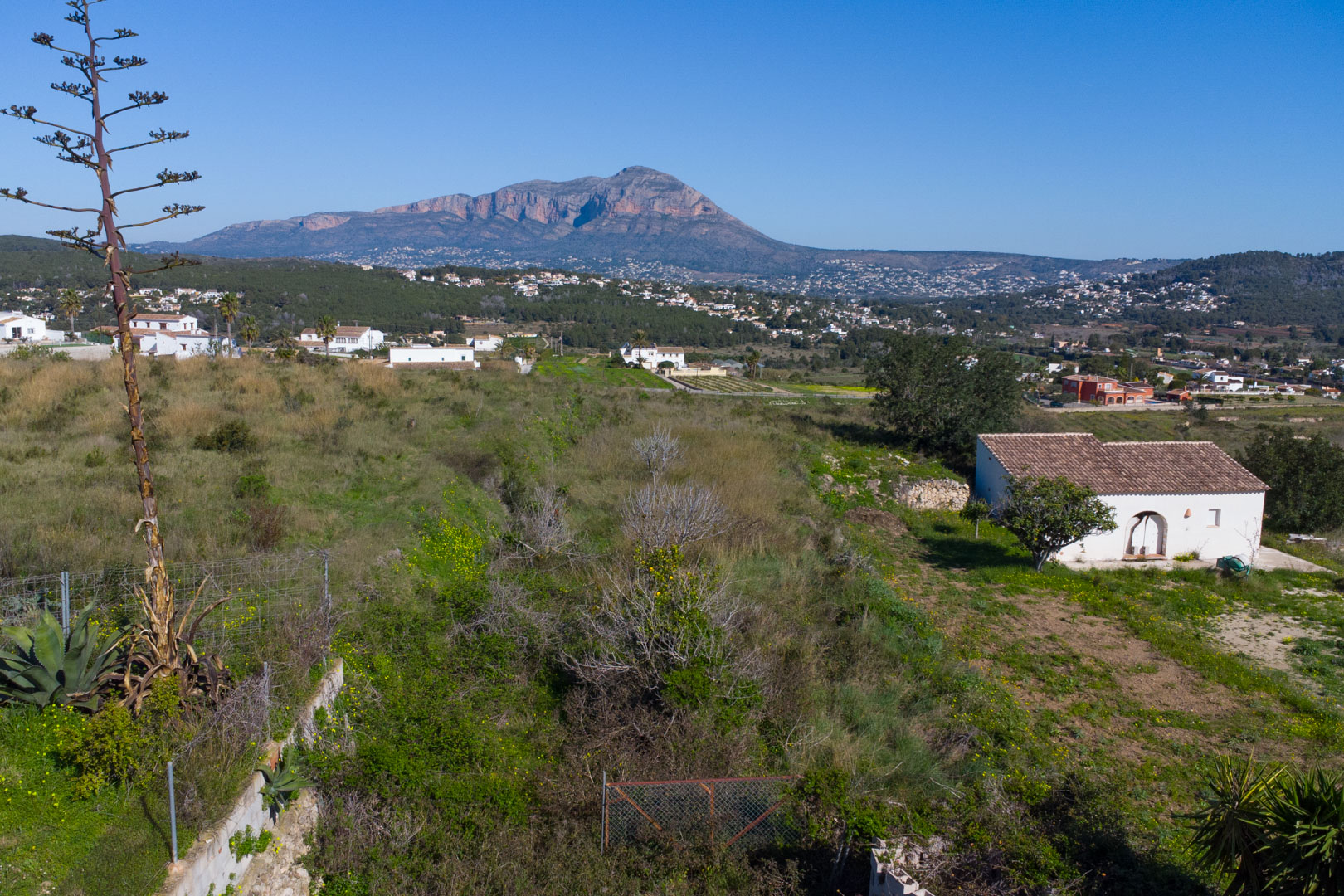 Panoramablick vom rustikalen Grundstück über das Tal von Benitachell mit dem Berg Montgó im Hintergrund und mediterraner Flora.