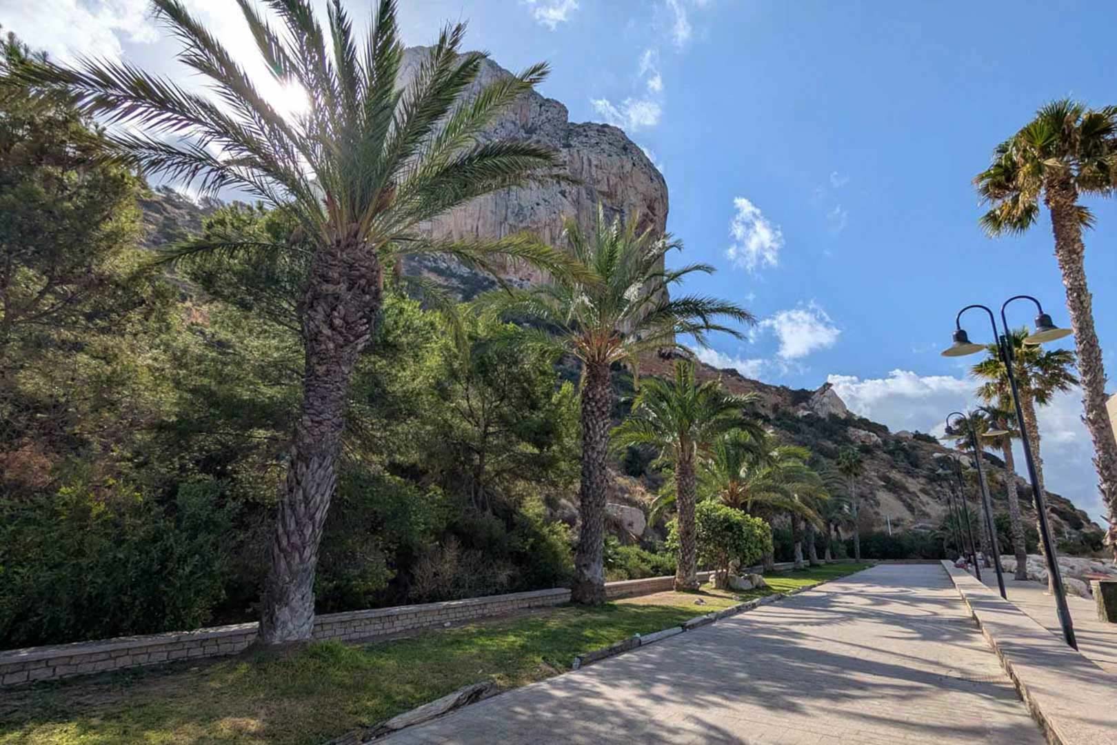 Gepflasterte Küstenpromenade mit hochgewachsenen Palmen und freiem Blick auf den majestätischen Felsen Peñón de Ifach in Calpe.