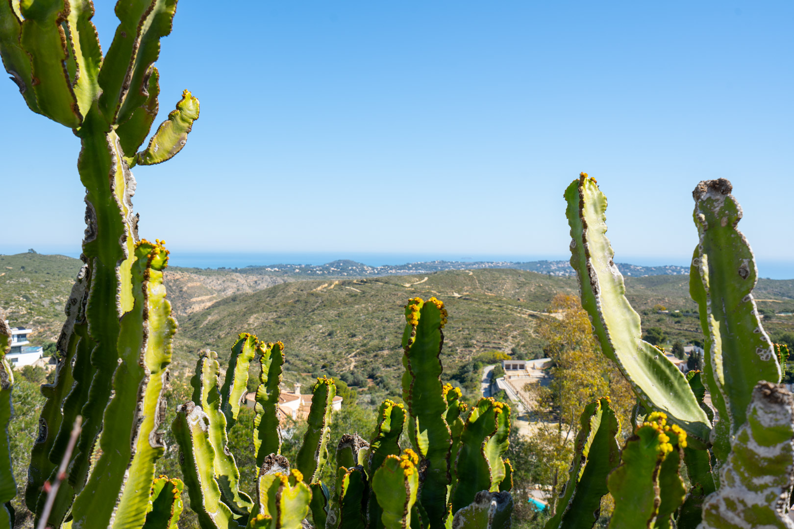 Panoramablick auf den Naturpark Granadella und das Mittelmeer, eingerahmt von großen Kakteen von der erhöhten Lage des Grundstücks aus.