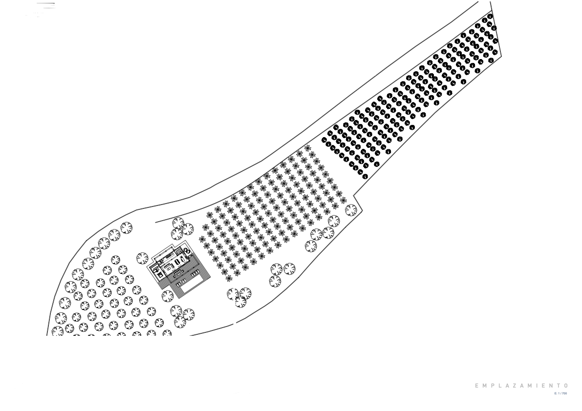 Lageplan im Maßstab 1:700, der den Grundriss der Villa, den Pool und das weitläufige Grundstück mit einer systematischen Baumbepflanzung zeigt.
