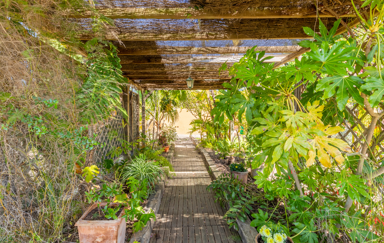 Ein Holzsteg unter einer rustikalen Pergola mit Heidekraut-Eindeckung, gesäumt von üppiger mediterraner Vegetation und tropischen Pflanzen.