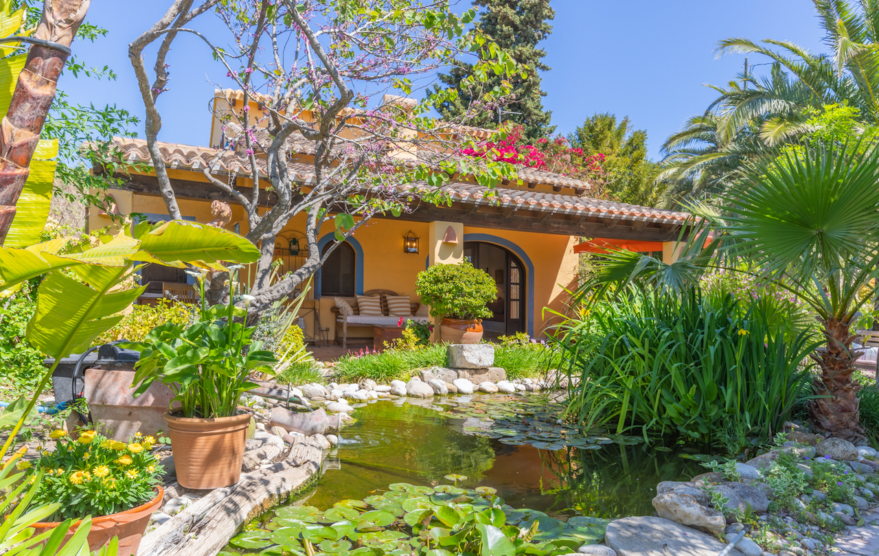 Gartenteich mit Seerosen und üppiger mediterraner Vegetation vor einem traditionellen valencianischen Gästehaus mit überdachter Veranda.