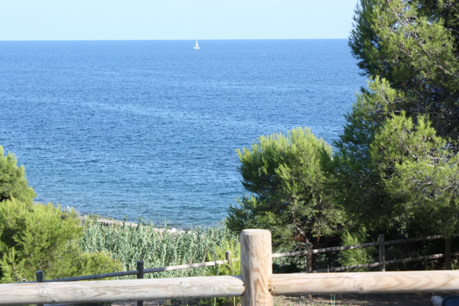 Unverbaubarer Blick auf das Mittelmeer vom Grundstück aus, eingerahmt von Pinien und einem rustikalen Holzzaun mit einem Segelboot am Horizont.